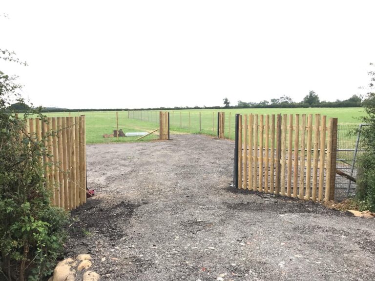 1998 404394c998a15b5efc5a7de00dee27d7 1 768x576