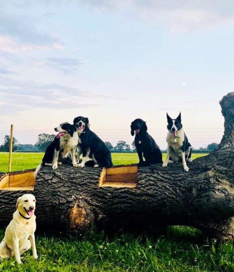 1998 711170e6a0dead9559b066ee77e78674 1 768x892