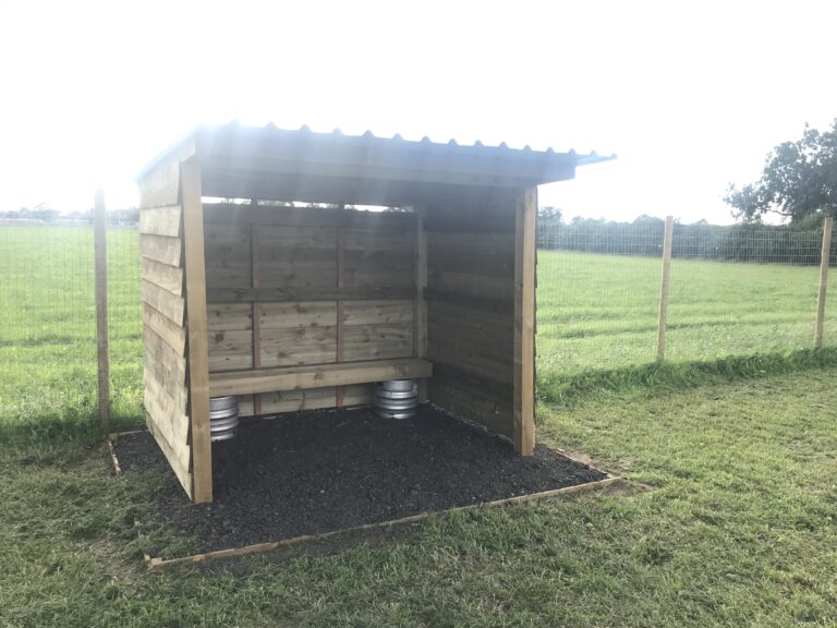 1998 79a6457eec857ec012dcfd3a6f340c37 1 768x576