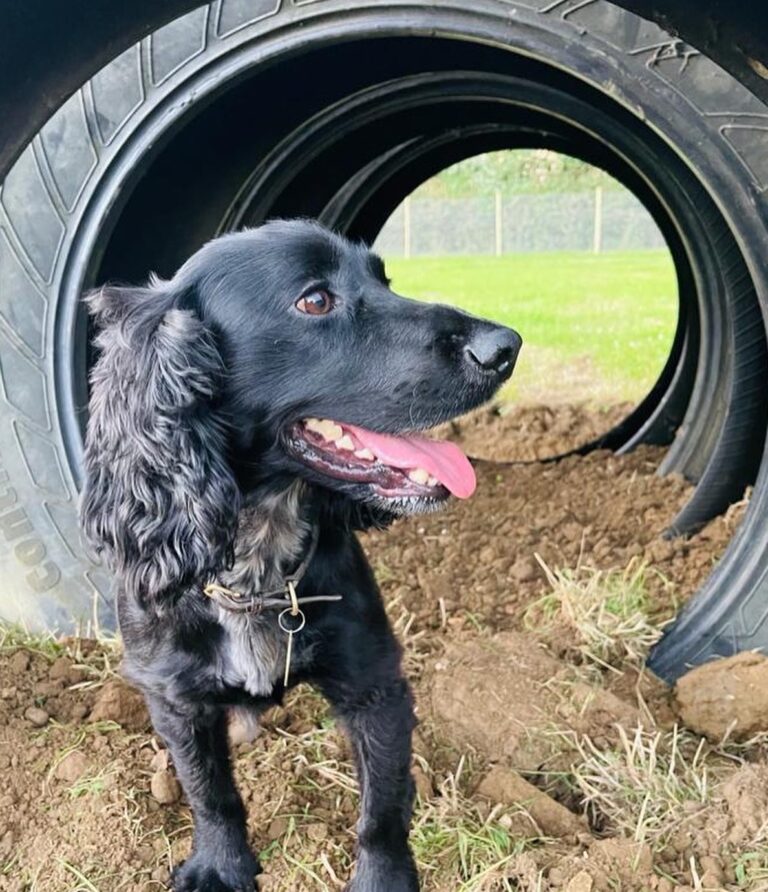 1998 bf6fb1fd22f4ea41ff45def4c55176fc 1 768x892