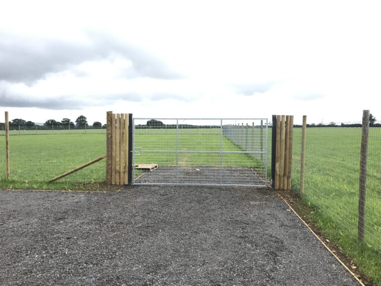 1998 d09f10a298024520d5cd6c2e415ec95e 1 768x576