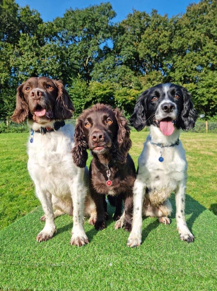 2001 08e77630806c8e0f62f65caad5b2ce3b 1