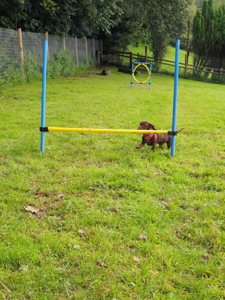 2001 0ca5e4686d793708b283bcf9330031d3 1