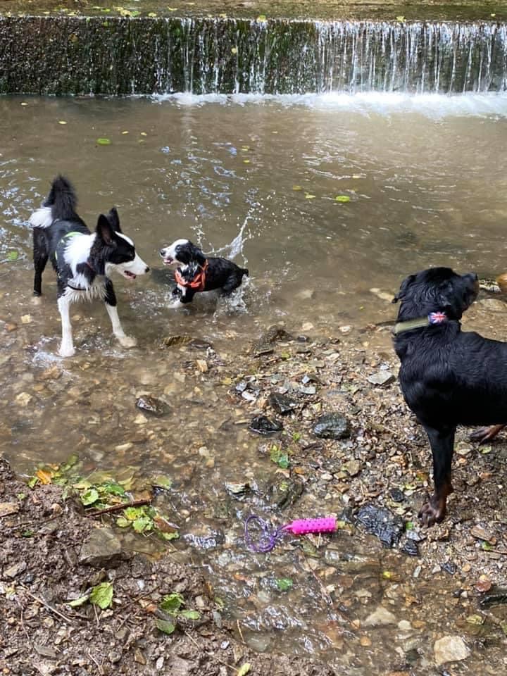 2001 11c7d09493a288cac826afc2f0b781cd 1