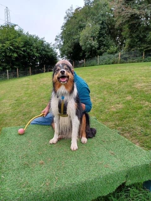 2001 1969d12dea45a285c7190eb92b8901fb 1