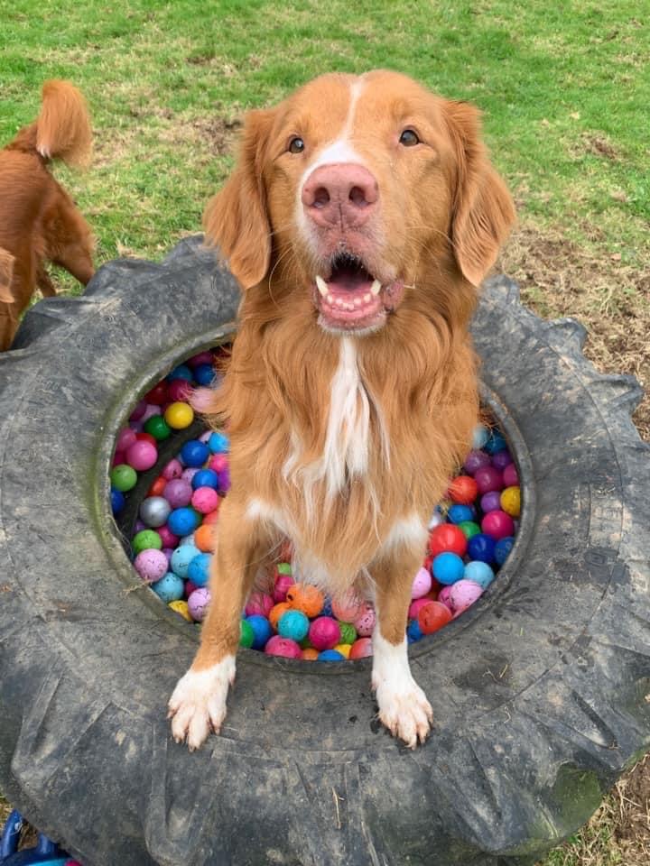 2001 2699eabcdc217f6c157b2ce5bdce7782 1