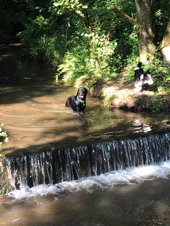 2001 298282d8d56623b133f3c4bc1fea07c9 1