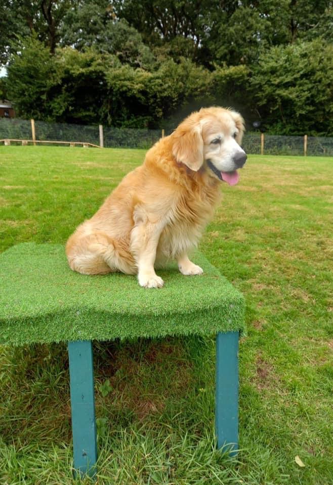 2001 37cb6db898faf47222e79995ec870e79 1