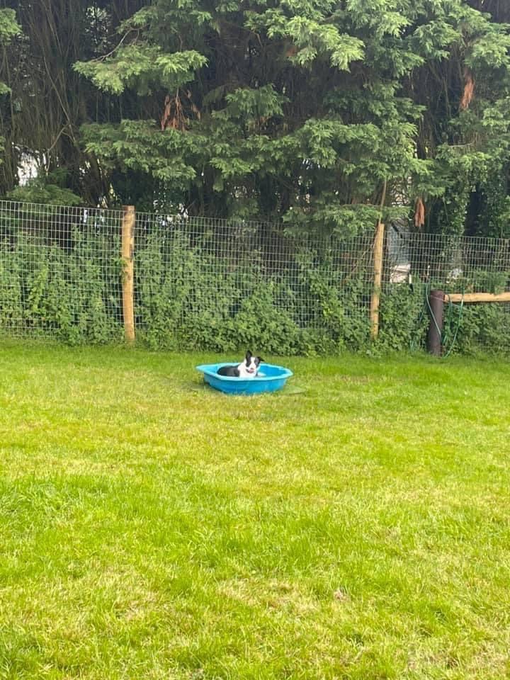 2001 46d00d1ac44d372d61c3465662a02083 1