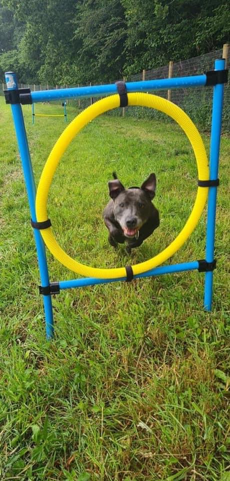 2001 4e747625b23b59c3273109064ee65f02 1