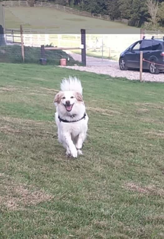 2001 4f2c5d5c601989d4d97553d6018192fc 1