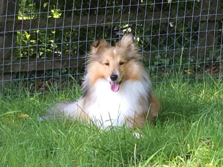 2001 52919338840a18bce3b0434ea9fe8e0a 1 768x576