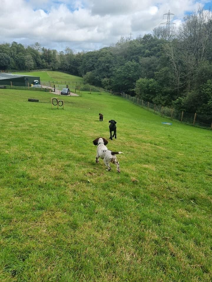 2001 6473ca54c9b938e542eeaac5e64101ff 1