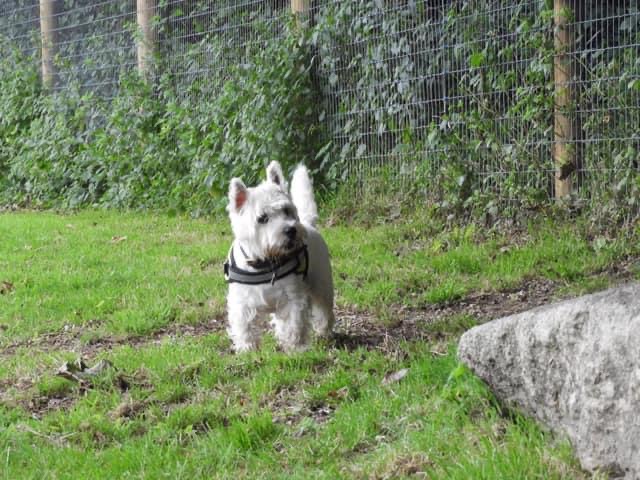 2001 93530009b151c423d2cec52fa03c8df3 1