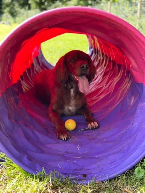 2001 9457fd580edf9d36774bb09d9aeb9660 1