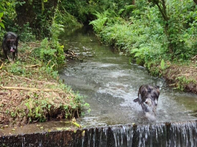 2001 a3f6d0009dad7d9de73e5e43861c3d40 1 768x576