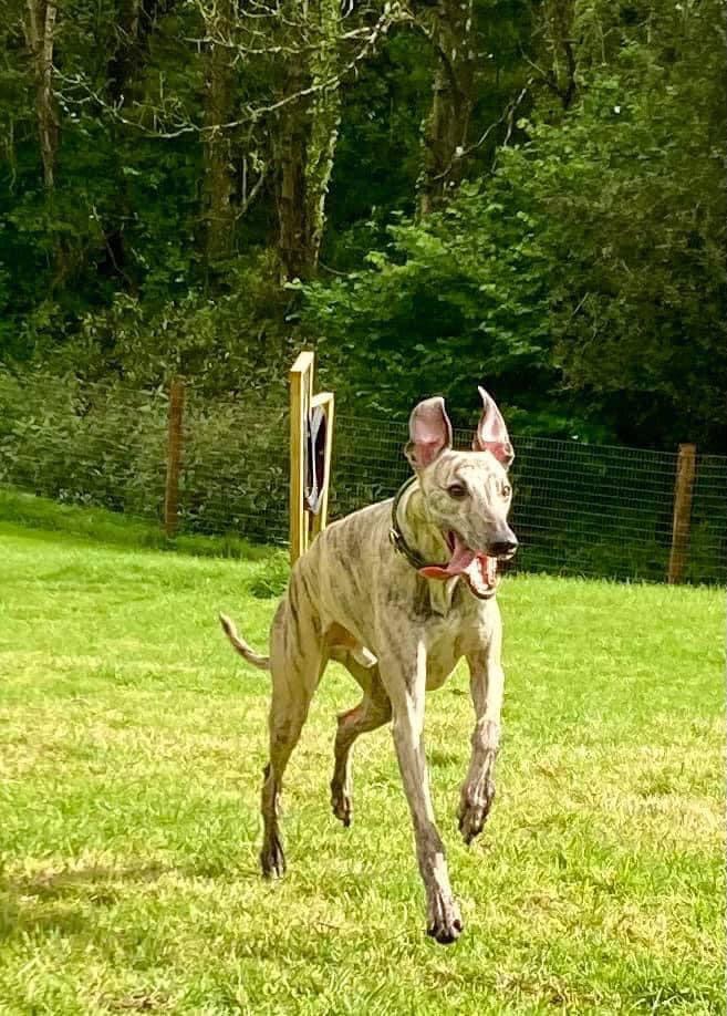 2001 af2856db1a907b56636bcfec7faaa607 1