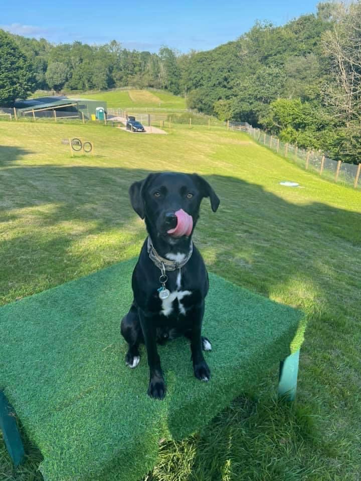 2001 b4fec91219c476ae2fbe087e4cbd7577 1