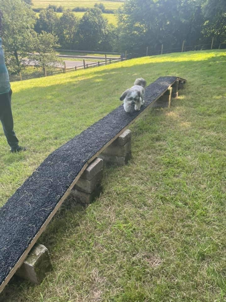 2001 c1e3500640c29fe7e1c7570c6b620bc8 1