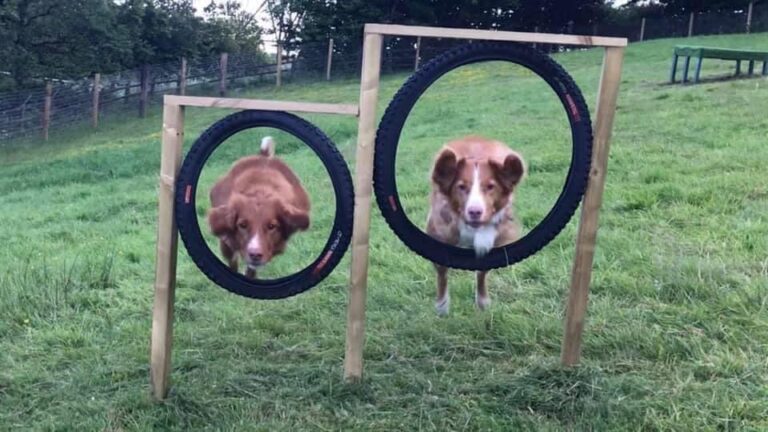 2001 ce8d0a5fe397af9084f2e32a84d61df4 1 768x432