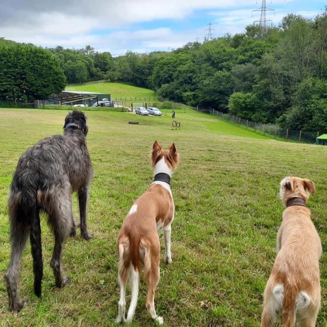 2001 cefda76cfc0bd986a9b19a1373728ce9 1