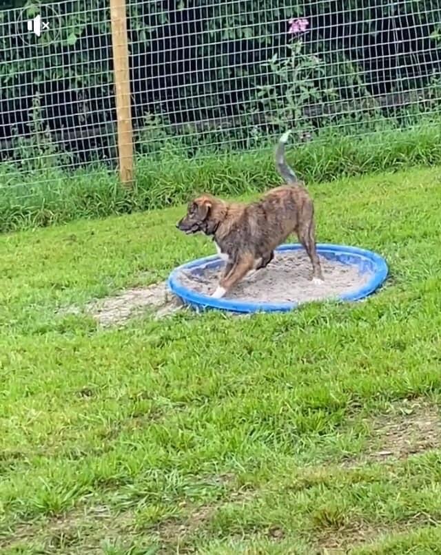 2001 f2d4ded462ce929c60eb3e5225d2dbe2 1