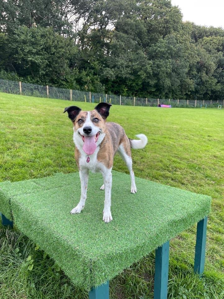 2001 f3847dcdcfccf75184905f206bced8b9 1