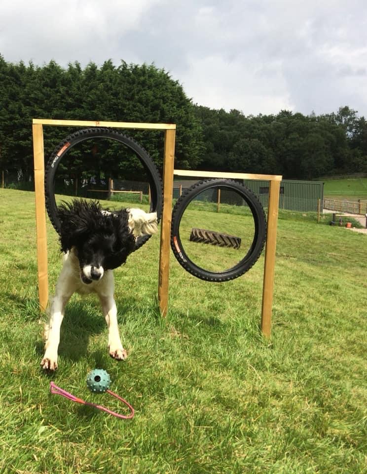 2001 f477be061868b677babed40204305008 1