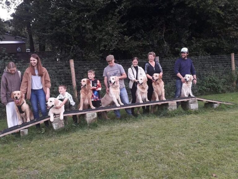 2001 fb378326f6a400822792e2b4f5ba228c 1 768x576