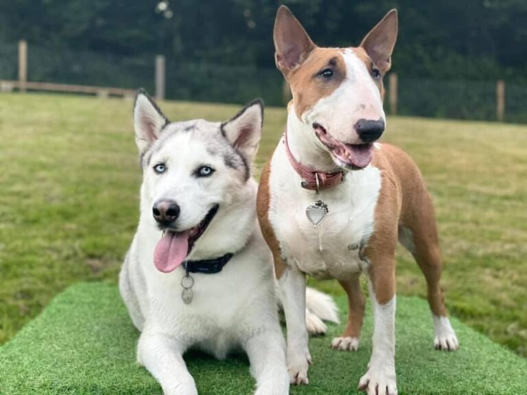 2001 fc4a66a1dfcf298946254fc6cab83580 1 768x576