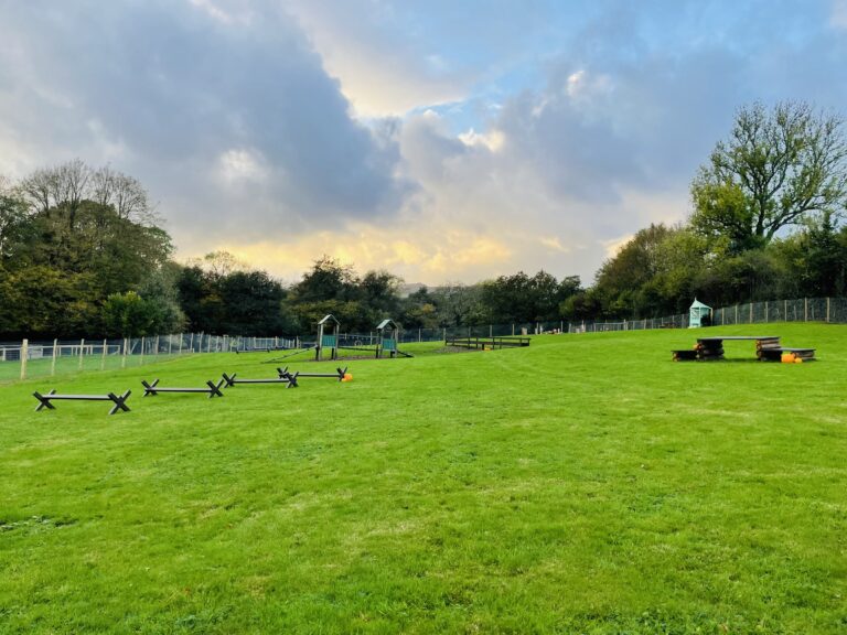 2002 128953d1af8c31545a86fbd74ccff7af 1 768x576