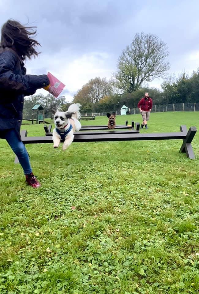 2002 1e725ba6f7eff1a138a034cfed859c3c 1