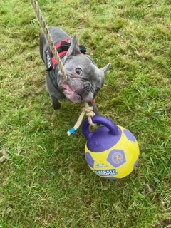 2002 2389c745c3463697a0e65d7c85cbb552 1