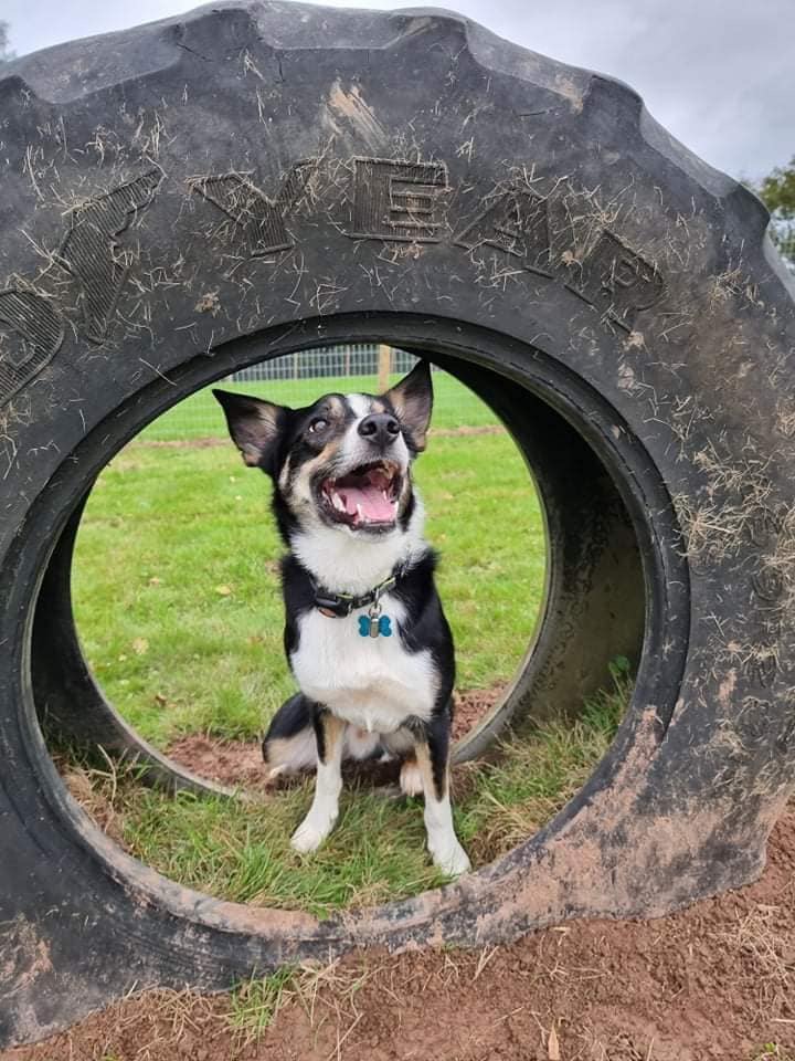 2002 243b7d04f9915a8aa2f1209554e03bb1 1