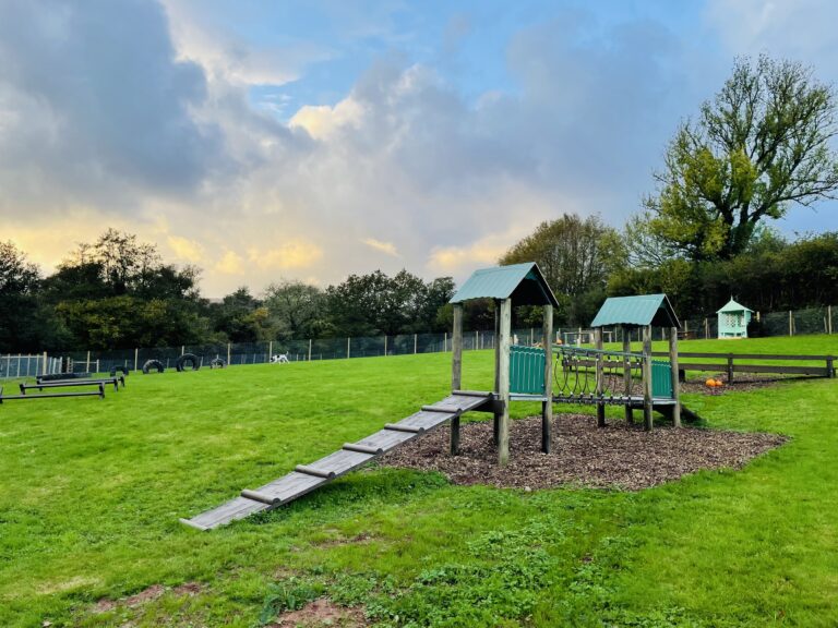 2002 275e14cfe01a4b62dc98310526db2d20 1 768x576