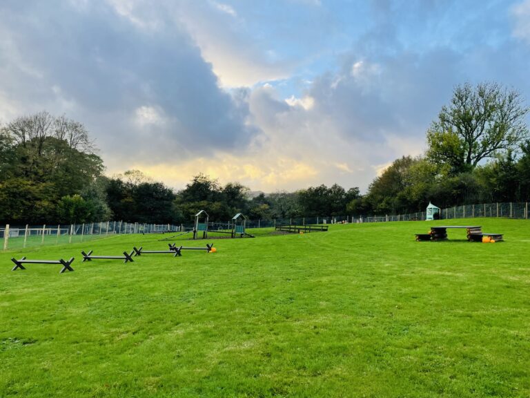 2002 4c20b55ac2ac25496f10faca196b931e 1 768x576