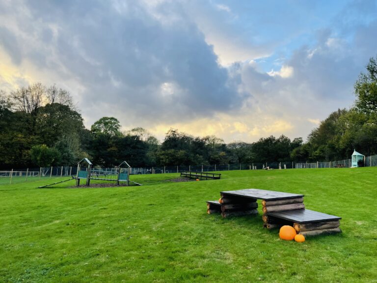 2002 53a198e2cc806d8746ad65d5d9f50508 1 768x576