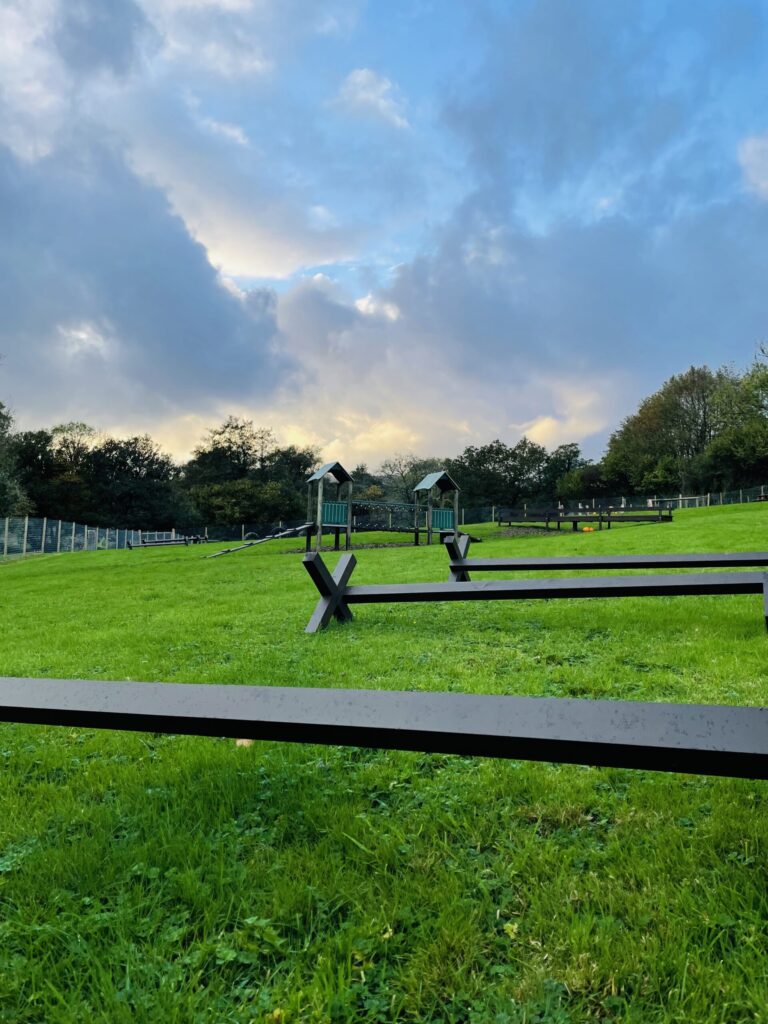 2002 6cb4be5343da3b3de2a8dbbca13c4f1a 1 scaled 768x1024