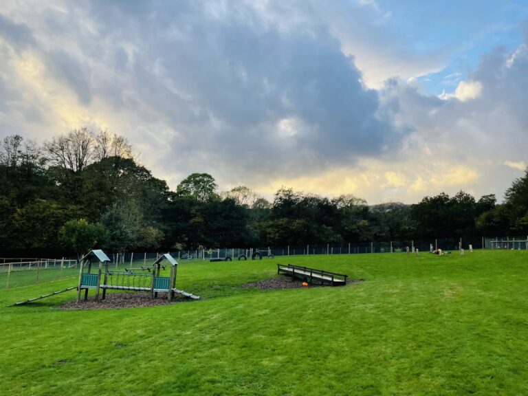 2002 87f1dba47c4dcf913377bfd36c2235b1 1 768x576