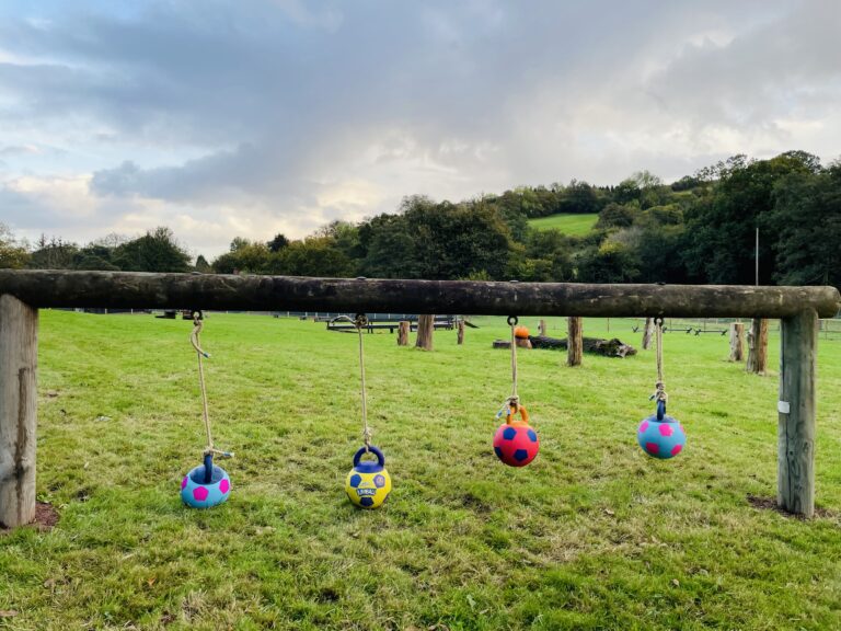 2002 c1eddb1078ae6ffafbdefcc7aa4644f8 1 768x576