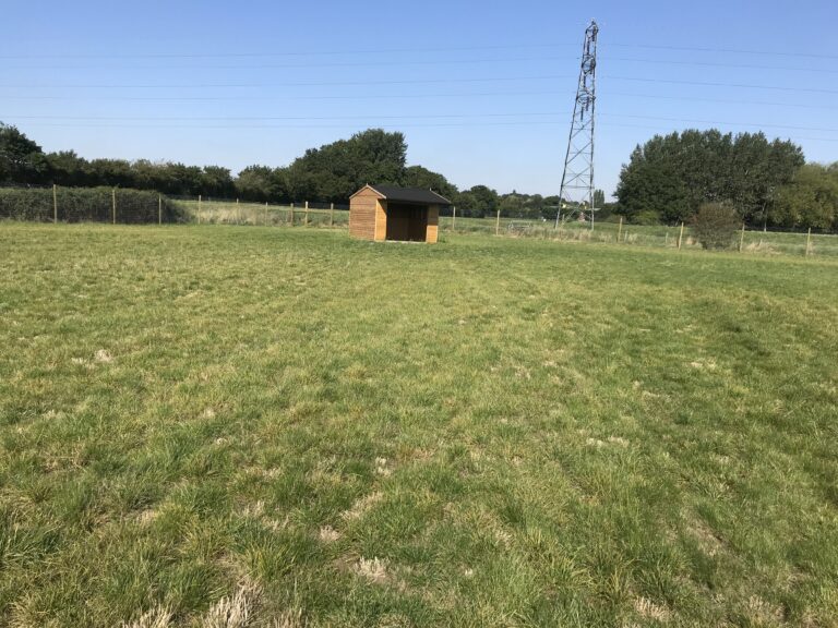 2004 7ec304875b722f66ad02c258b46ea4e9 1 768x576