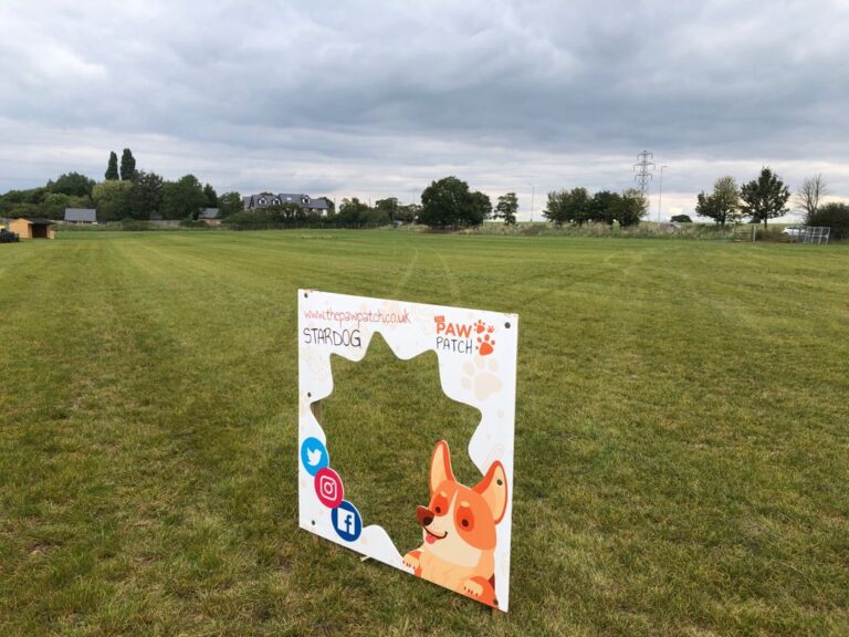 2004 dc794c2a8a445feb5af5c038a2d8f10b 1 768x576