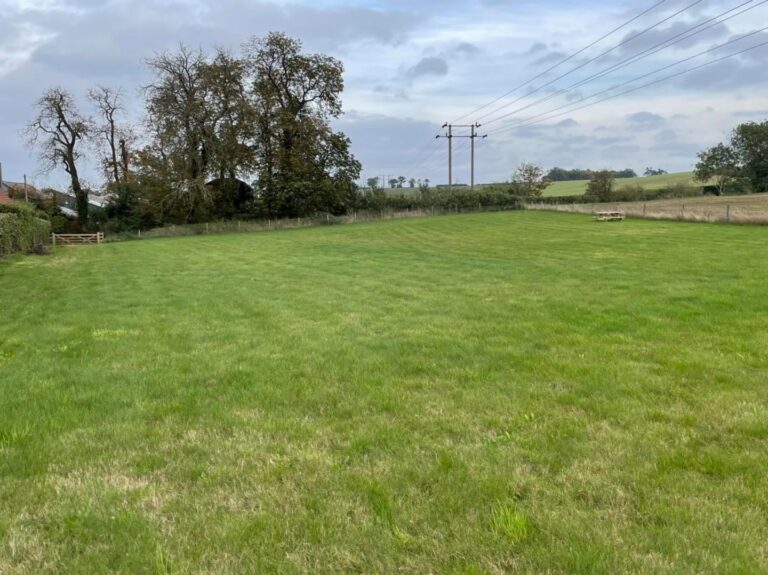 2009 3a7f6d97e57f84366c99ec9733e53cc2 1 768x575