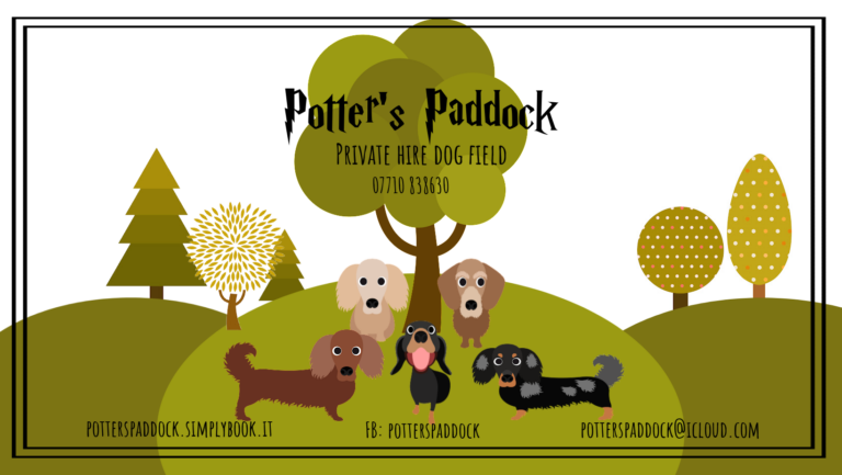 2009 408d85bc557d42428d78f0fa84f3b031 1 768x433