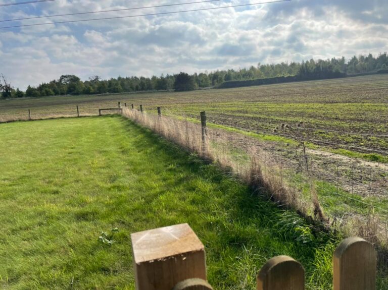 2009 544029c0cd3a92770a4e351e1bd1cc31 1 768x575