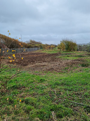 2010 3422de437354acfbb82d73d3bec1e171 1