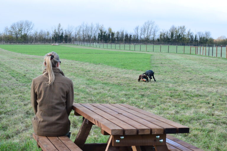 2014 974c0585430089270f879c7ddd51e1f2 1 scaled 768x512