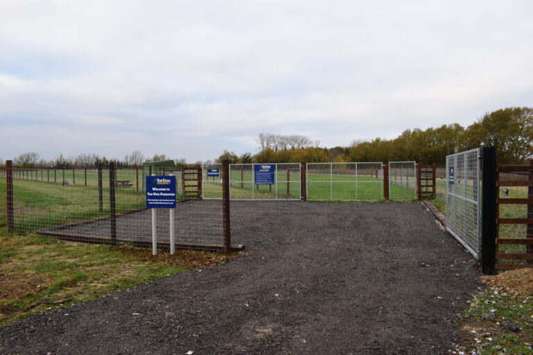 2014 e881fe83e8c2e1b40ec18cd2ba191ee7 1 768x512