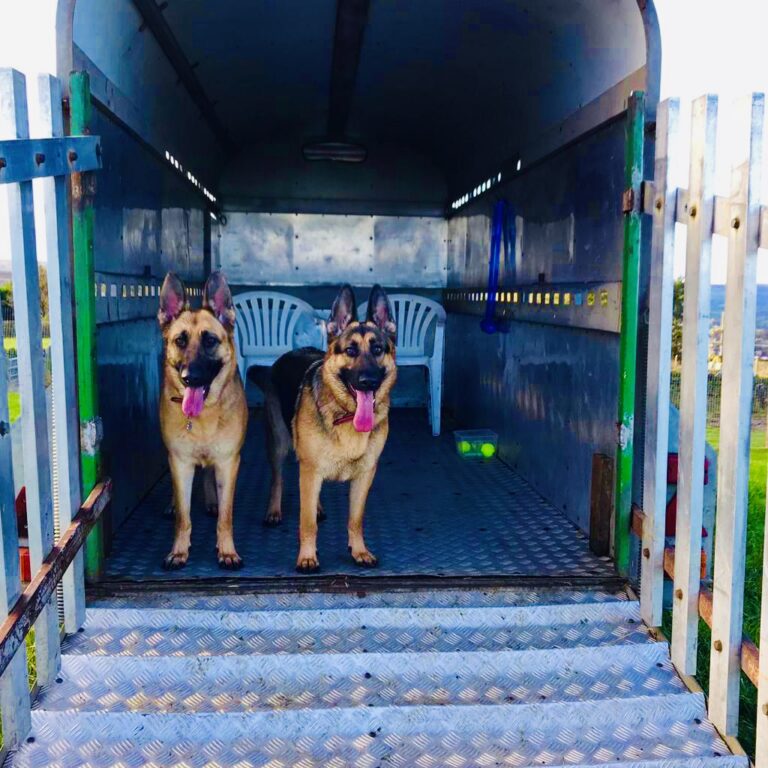 2016 245da2b1fbb6960a23c081bc3a926304 1 768x768