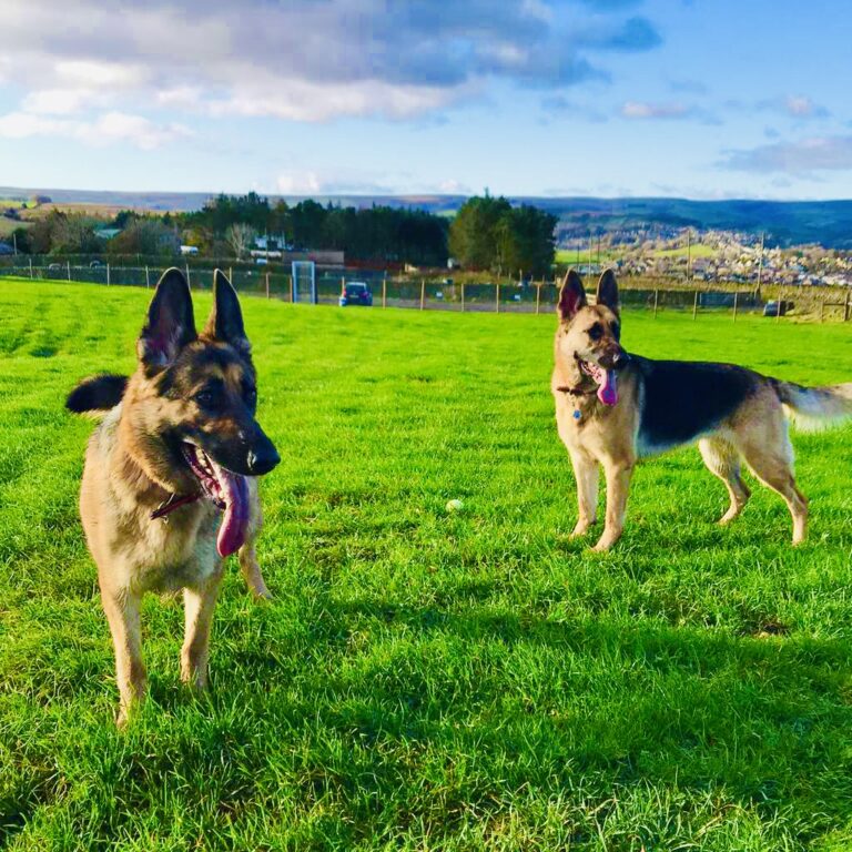 2016 972b666802c49454476987e3bd74cf78 1 768x768